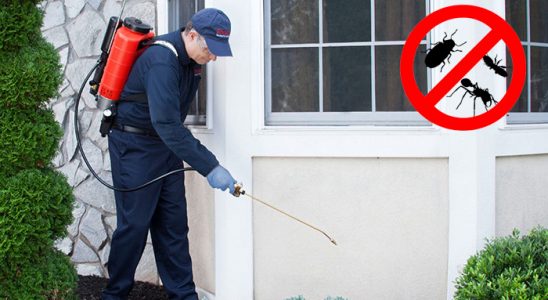Kırşehir Böcek İlaçlama böcek ilaçlama ve haşere kontrolü — ilaclama-tr.com